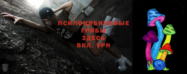 Альфа ПВП Алзамай