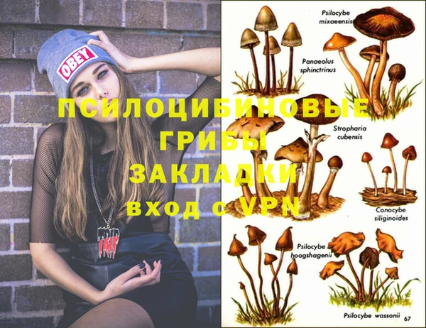 марки lsd Одинцово