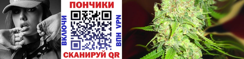 Каннабис SATIVA & INDICA  Евпатория 